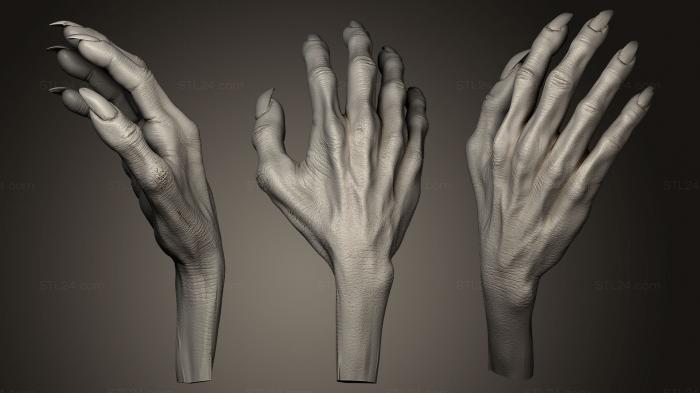 Anatomy of skeletons and skulls (Humanoid Hand 5, ANTM_0146) 3D models for cnc